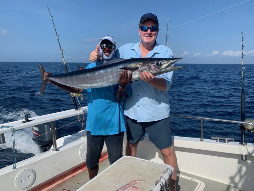 Picture of Fish caught from a Supercat Boat