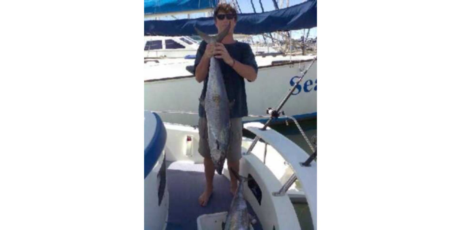 Picture of Fish Caught from a Supercat Boat