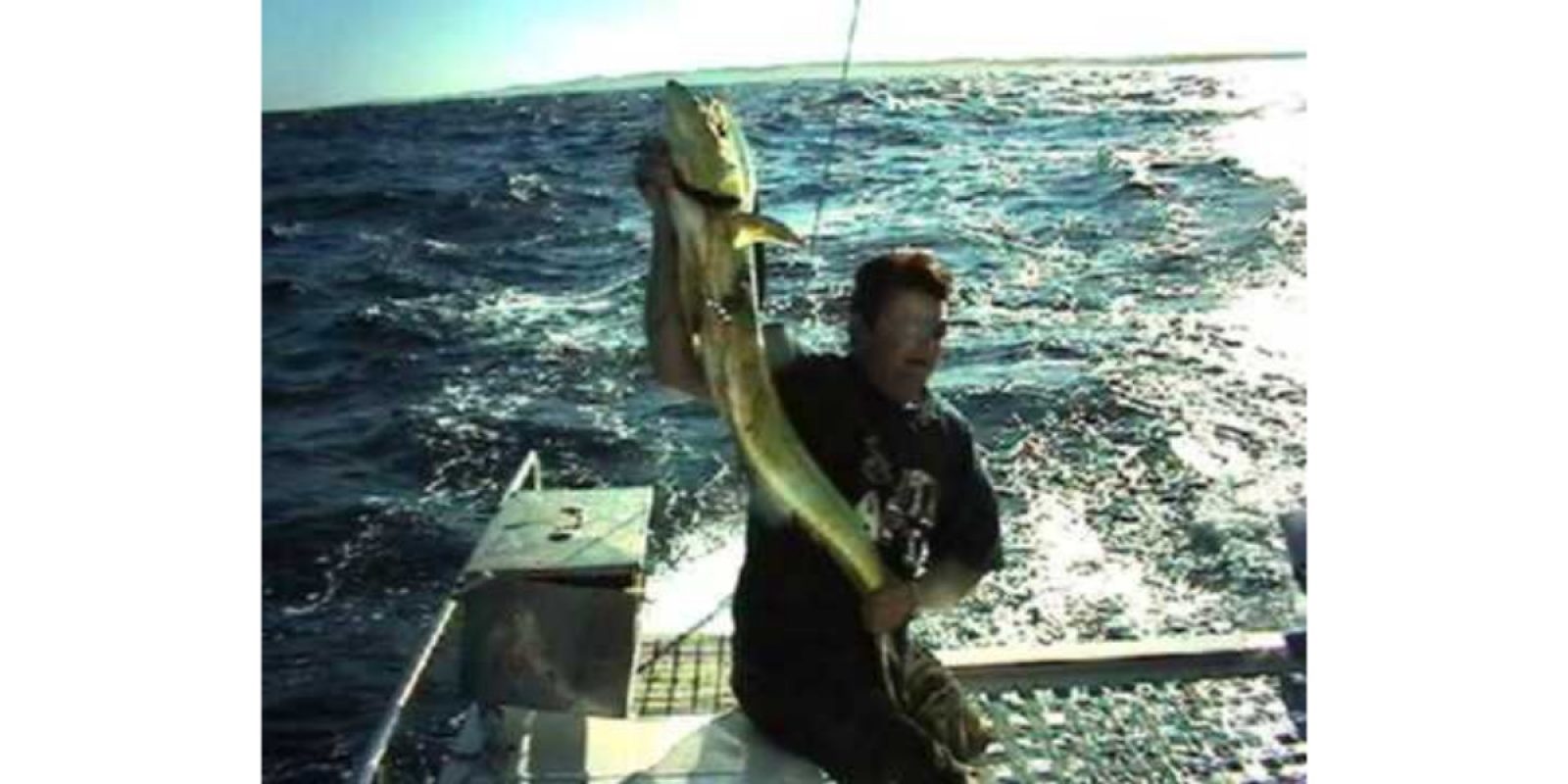 Picture of Fish Caught from a Supercat Boat