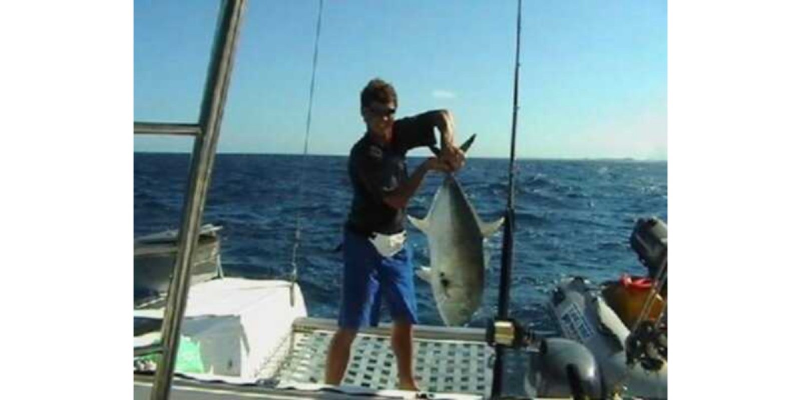 Picture of Fish Caught from a Supercat Boat