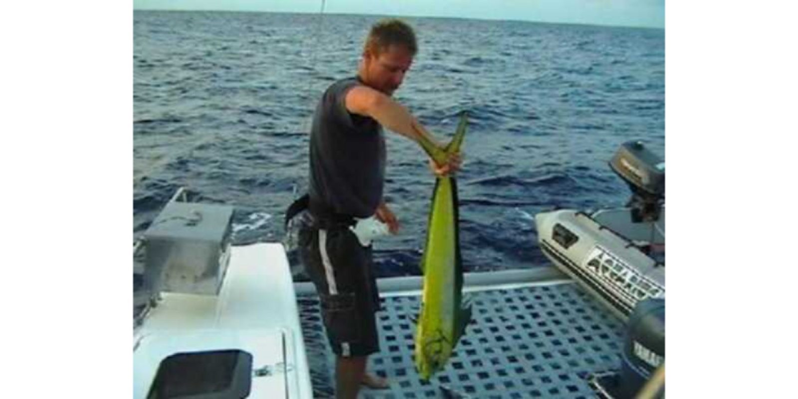 Picture of Fish Caught from a Supercat Boat