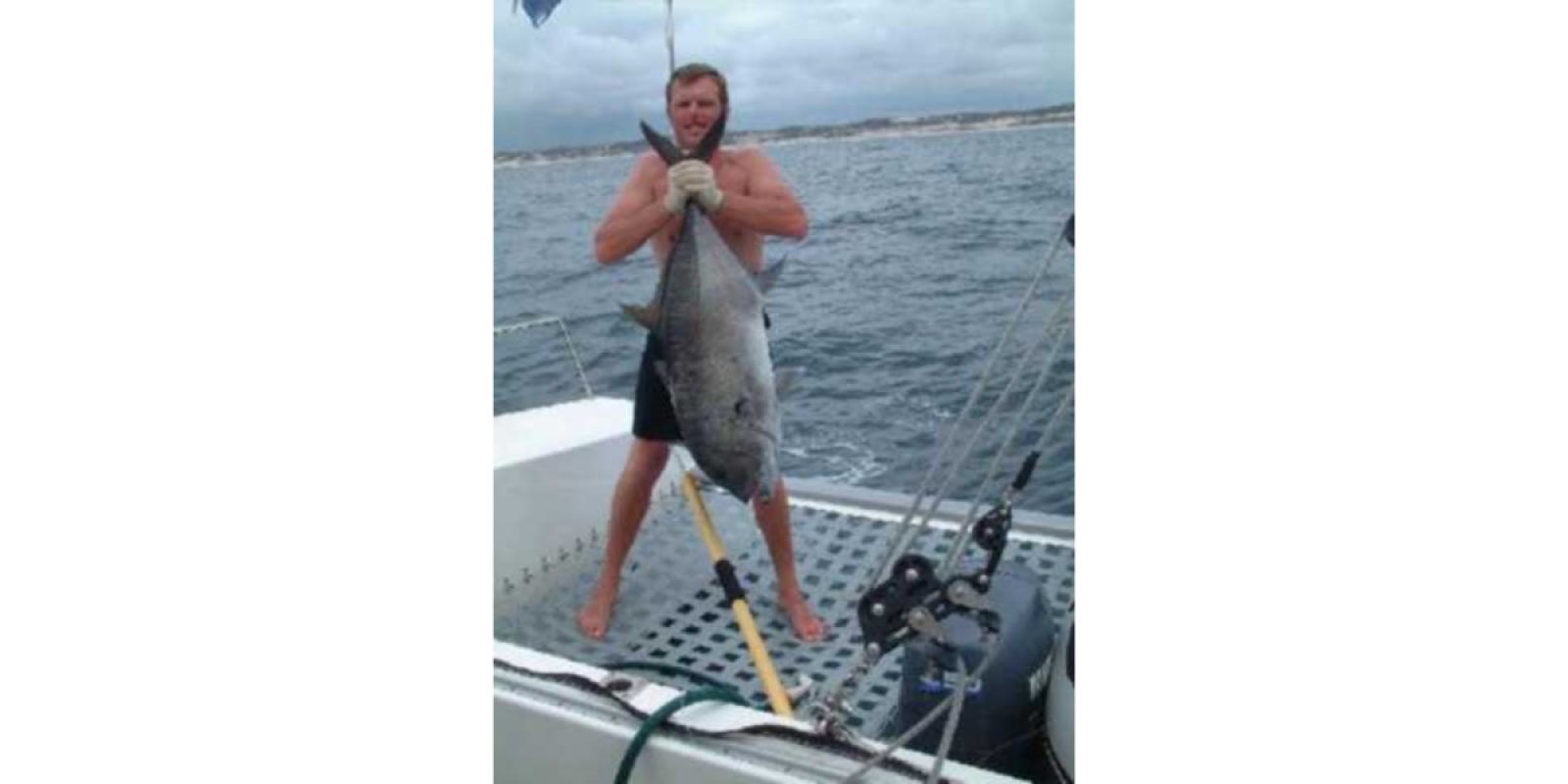 Picture of Fish Caught from a Supercat Boat