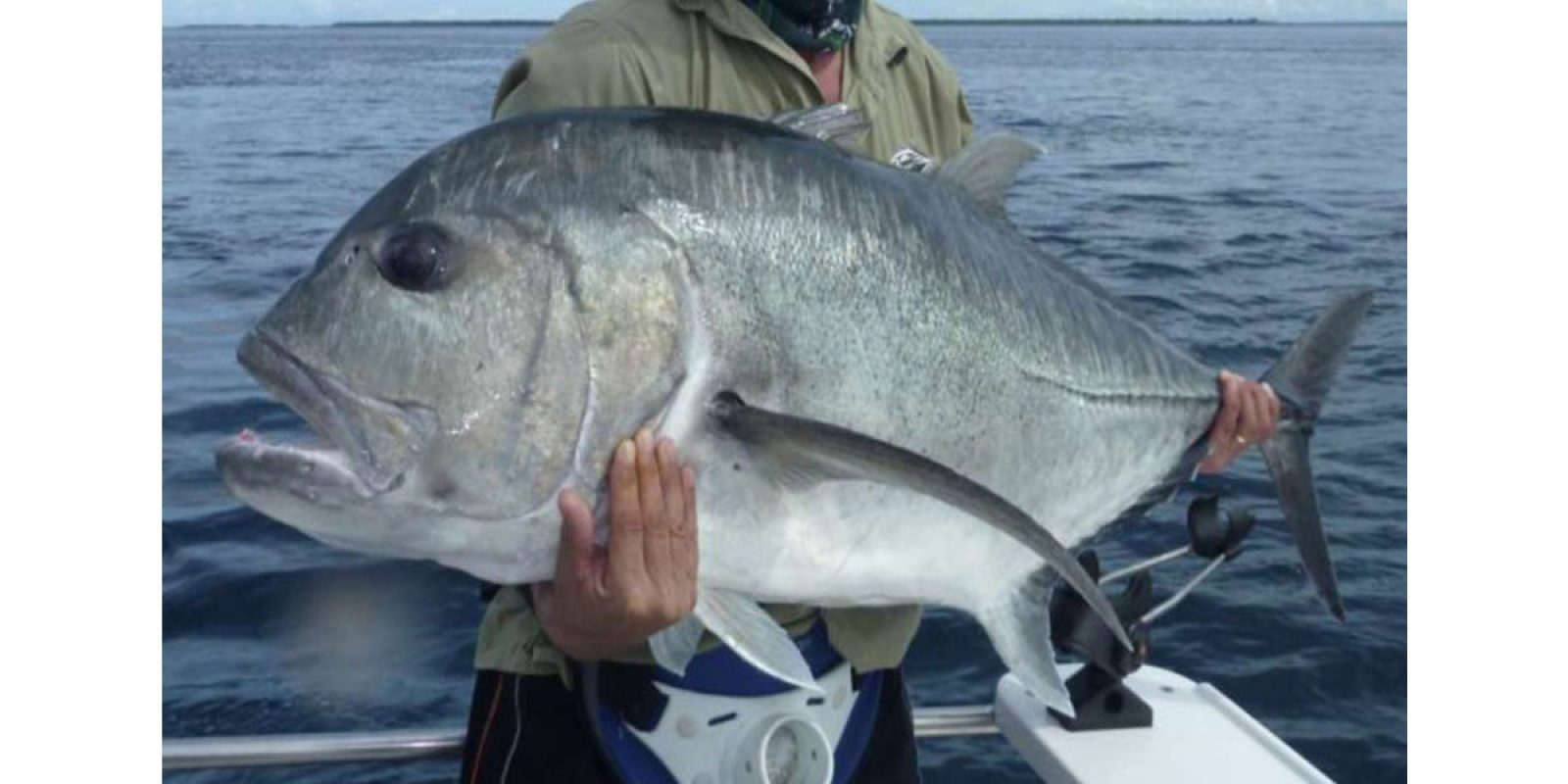 Picture of Fish Caught from a Supercat Boat