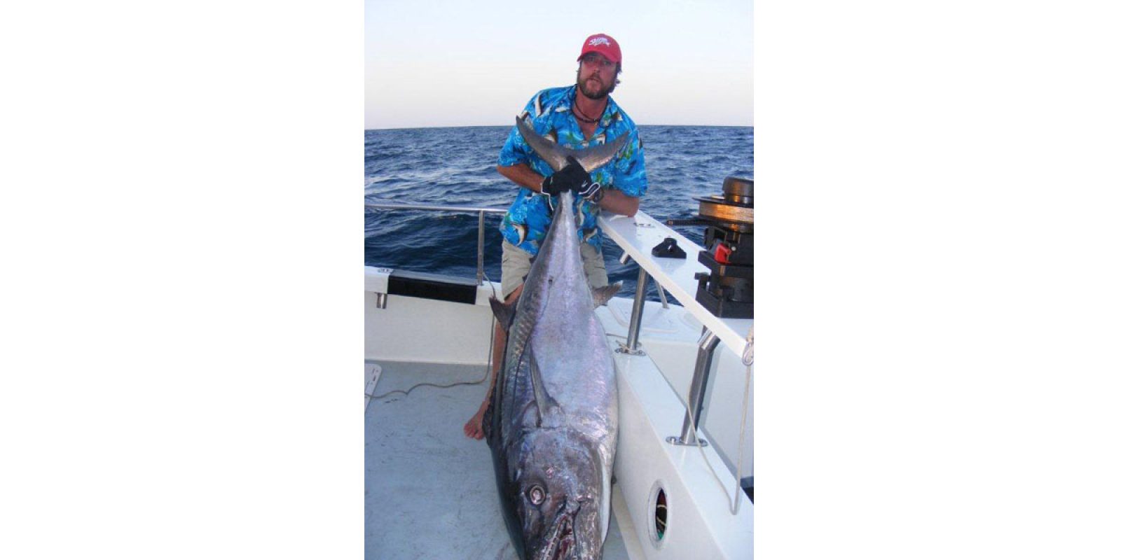 Picture of Fish Caught from a Supercat Boat