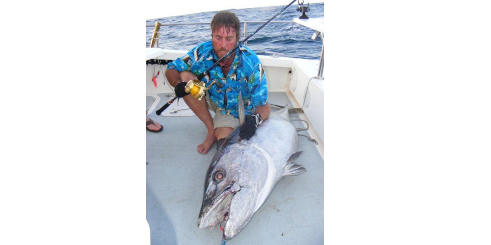 Picture of Fish Caught from a Supercat Boat