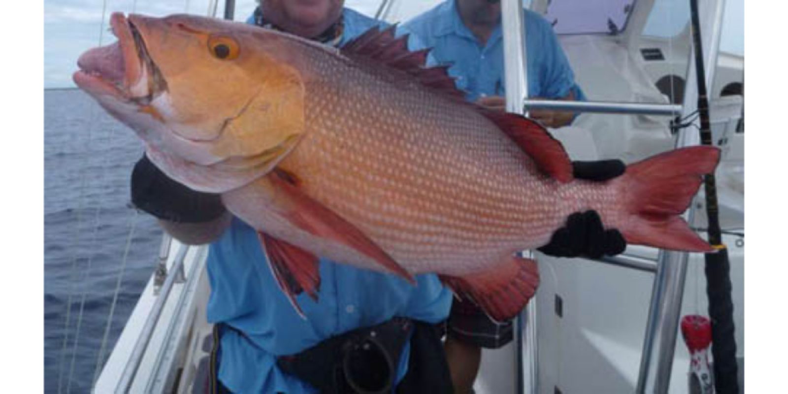 Picture of Fish Caught from a Supercat Boat