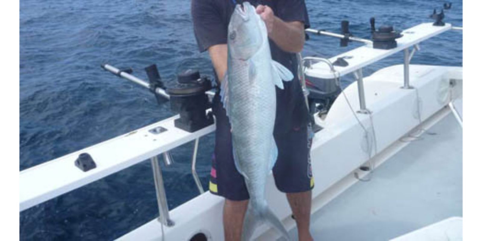Picture of Fish Caught from a Supercat Boat