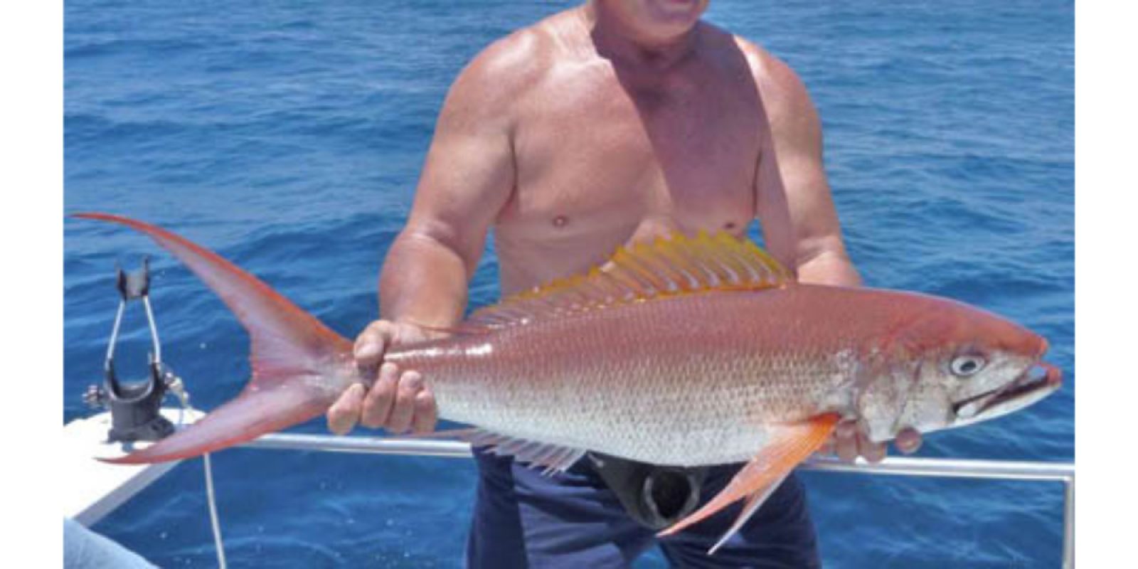 Picture of Fish Caught from a Supercat Boat