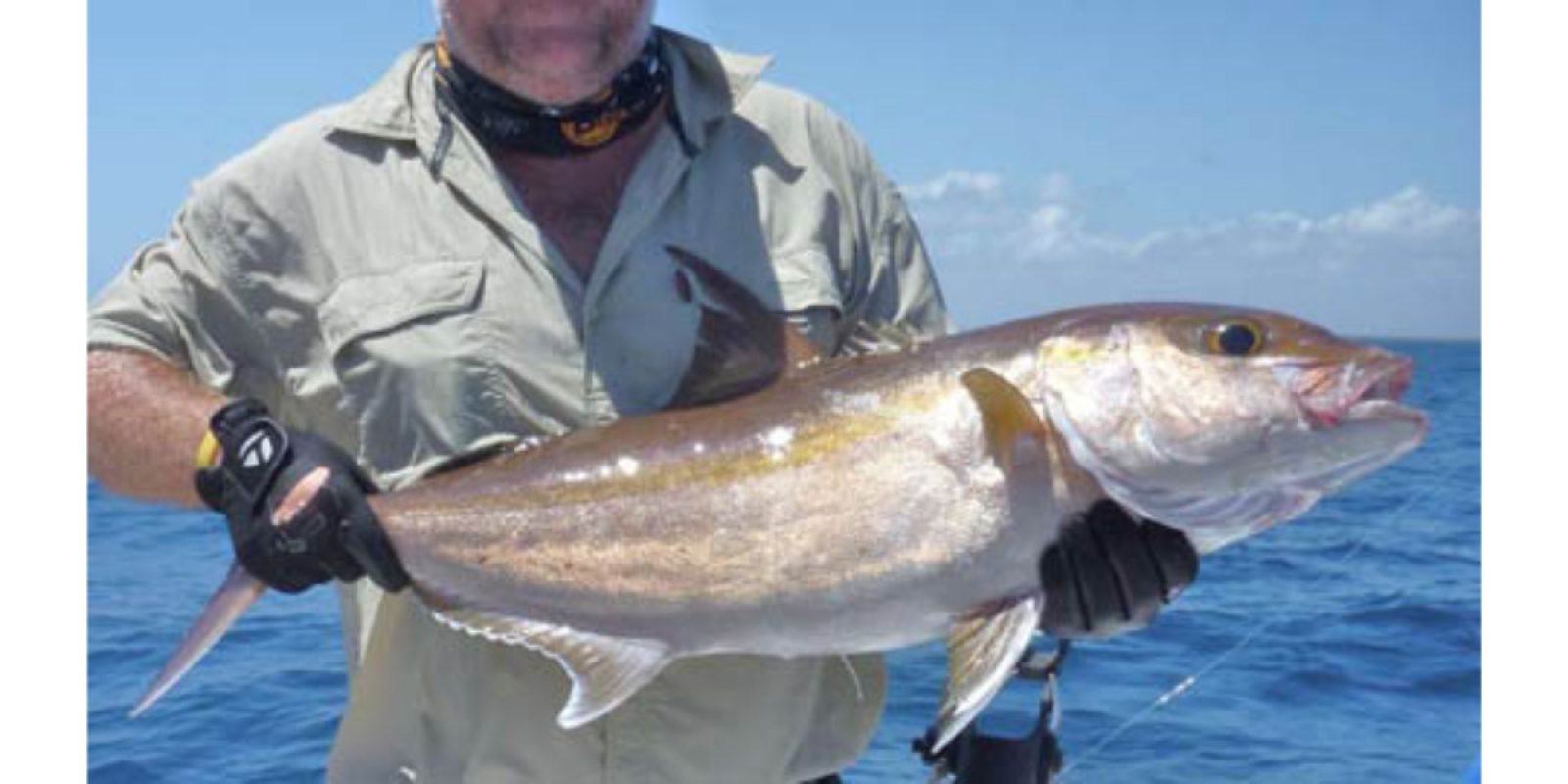 Picture of Fish Caught from a Supercat Boat