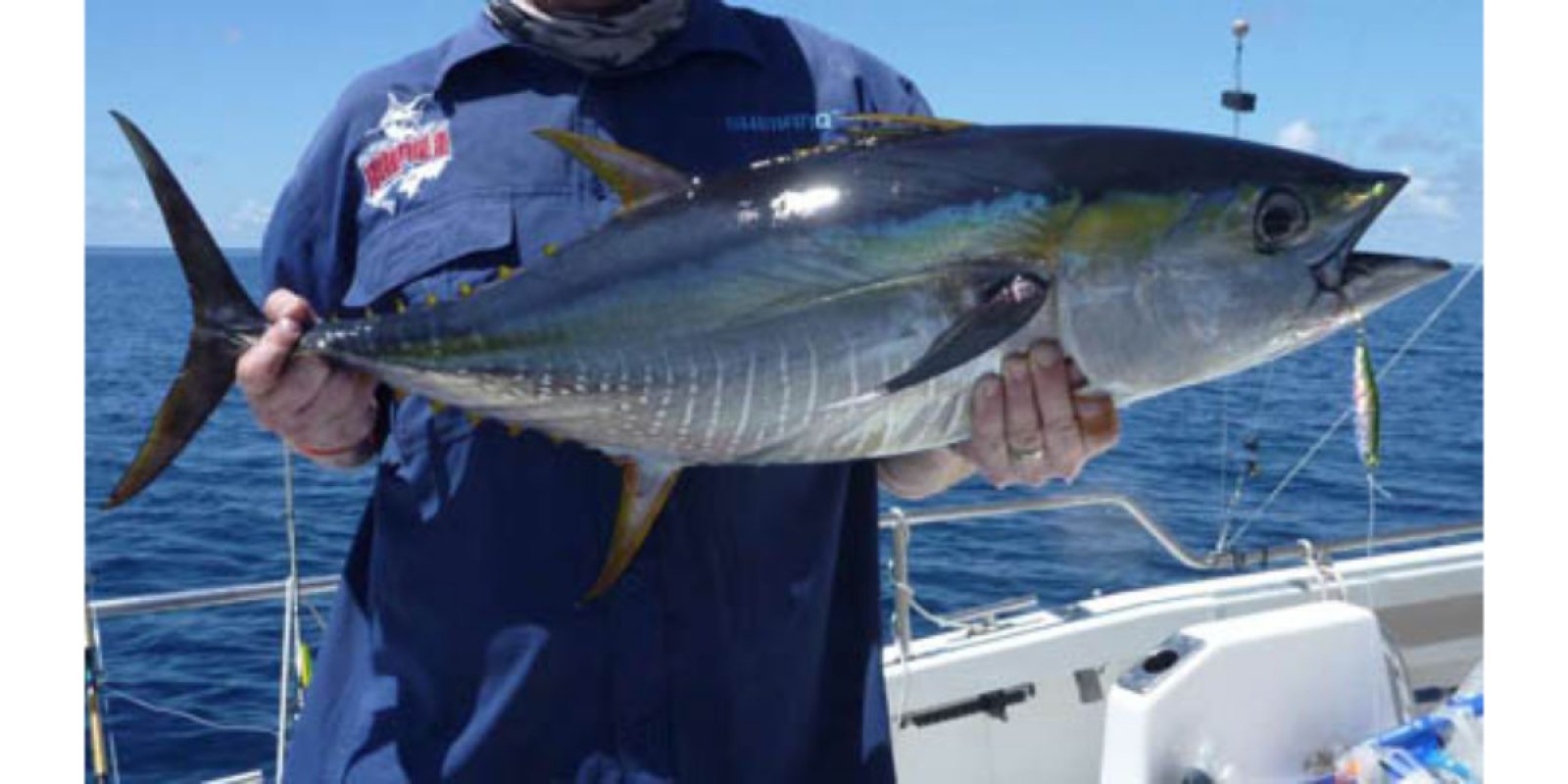 Picture of Fish Caught from a Supercat Boat