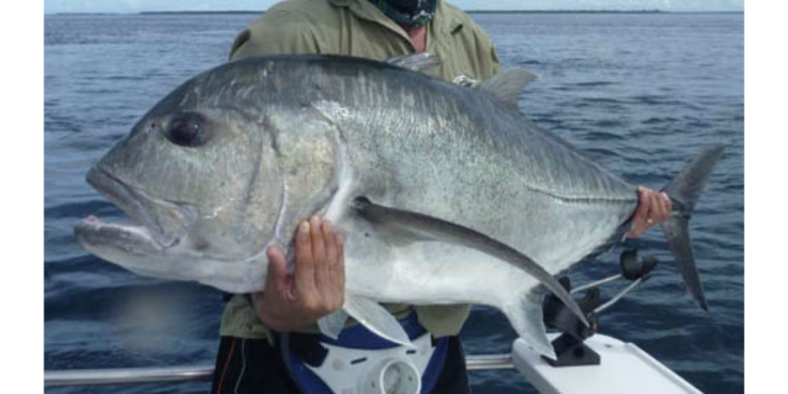 Picture of Fish Caught from a Supercat Boat