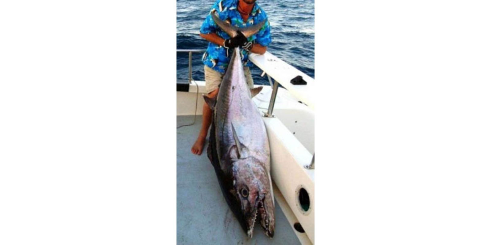 Picture of Fish Caught from a Supercat Boat