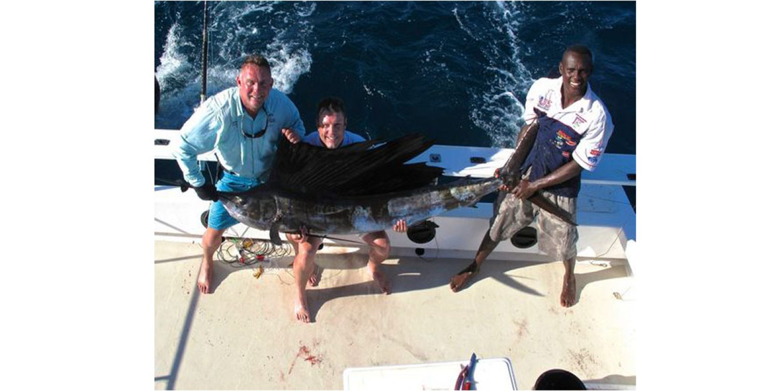 Picture of Fish Caught from a Supercat Boat