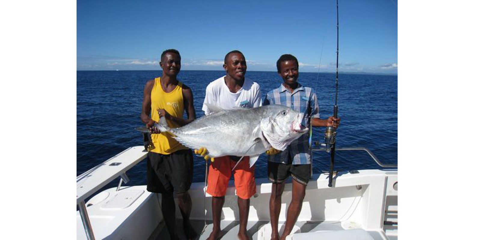 Picture of Fish Caught from a Supercat Boat