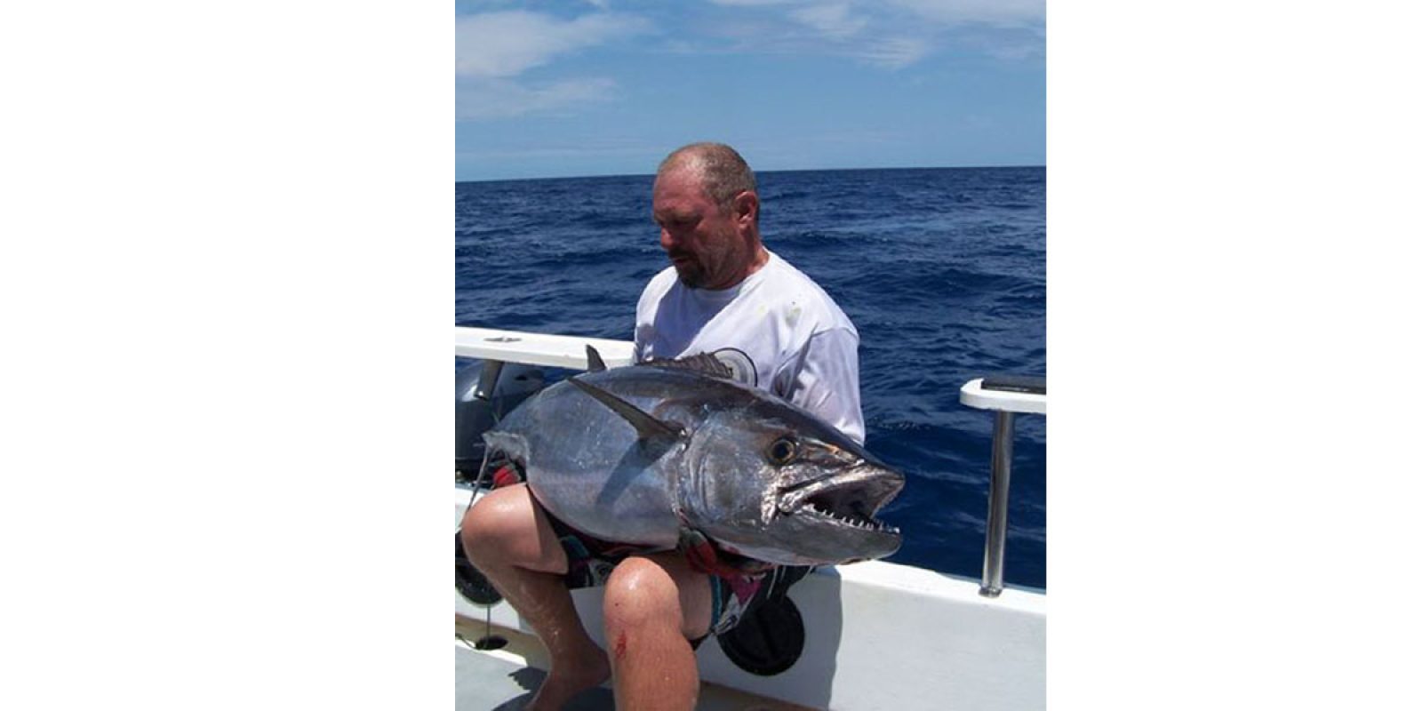 Picture of Fish Caught from a Supercat Boat
