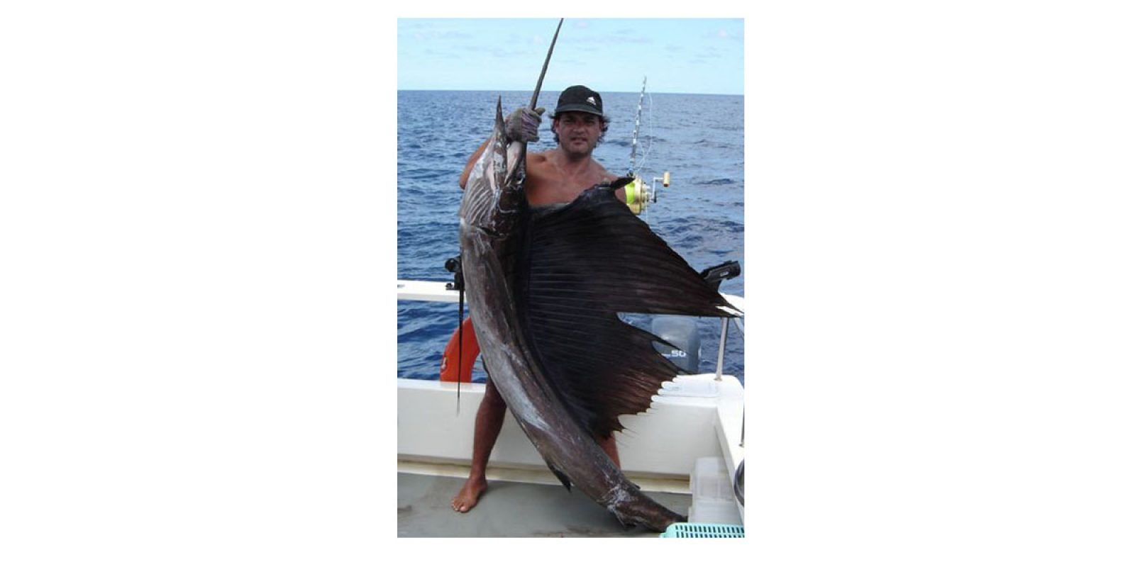 Picture of Fish Caught from a Supercat Boat