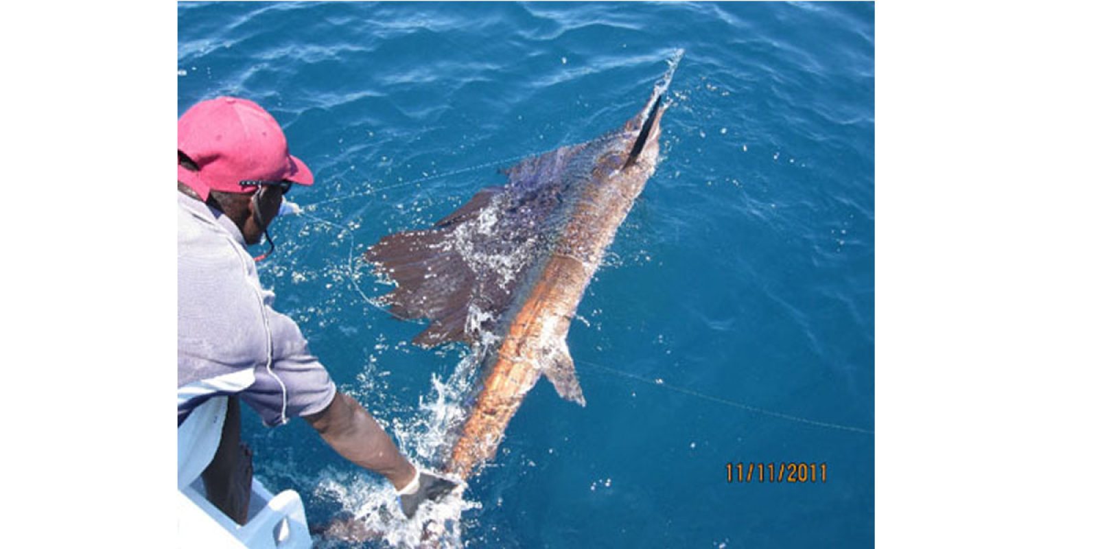 Picture of Fish Caught from a Supercat Boat