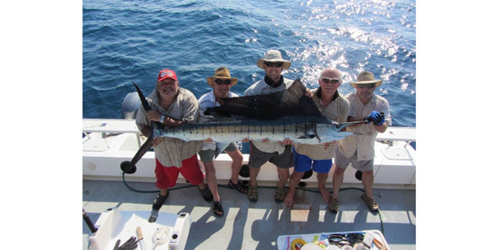 Picture of Fish Caught from a Supercat Boat