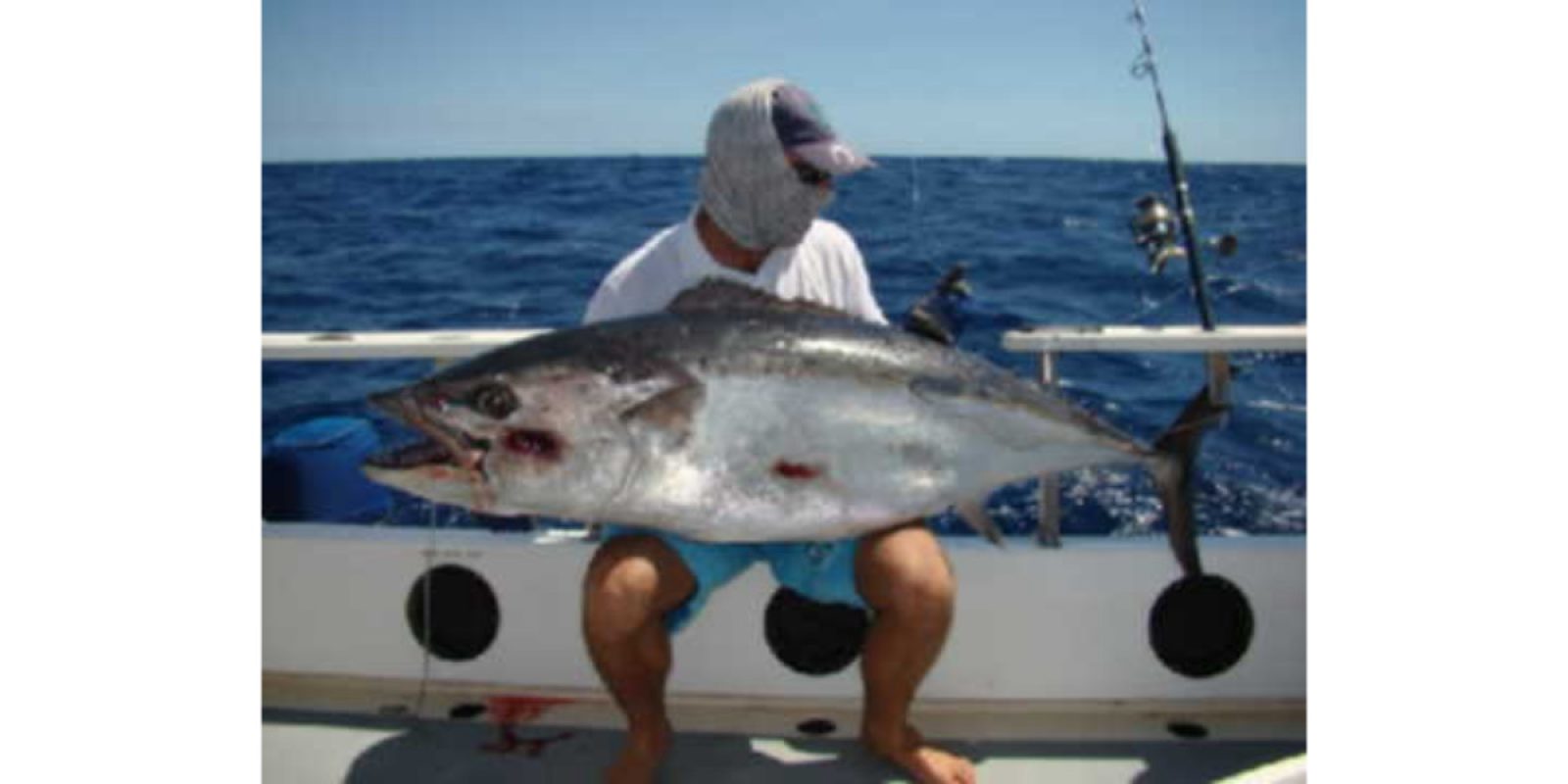 Picture of Fish Caught from a Supercat Boat
