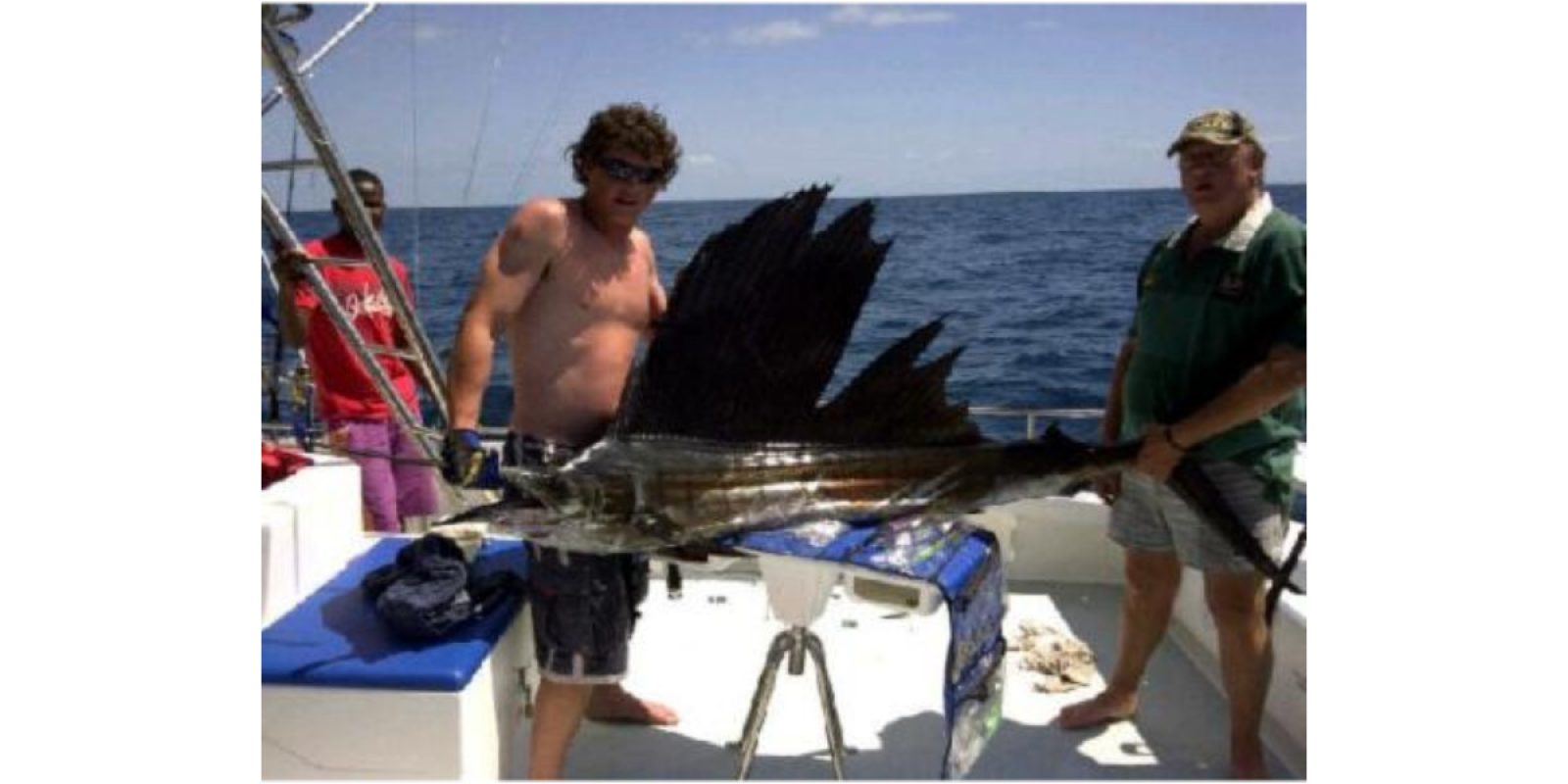Picture of Fish Caught from a Supercat Boat
