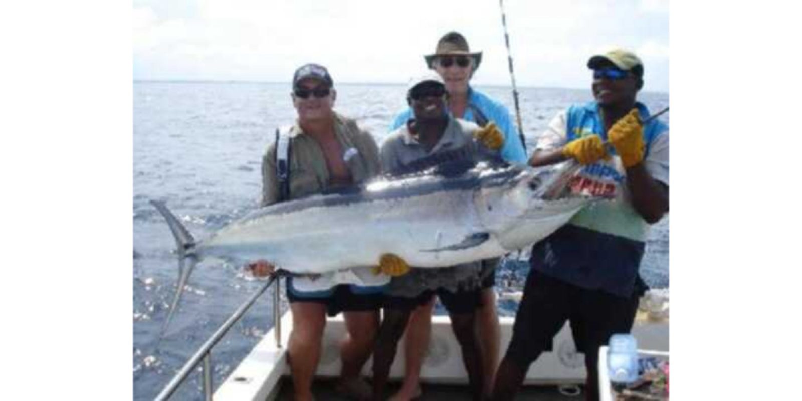 Picture of Fish Caught from a Supercat Boat