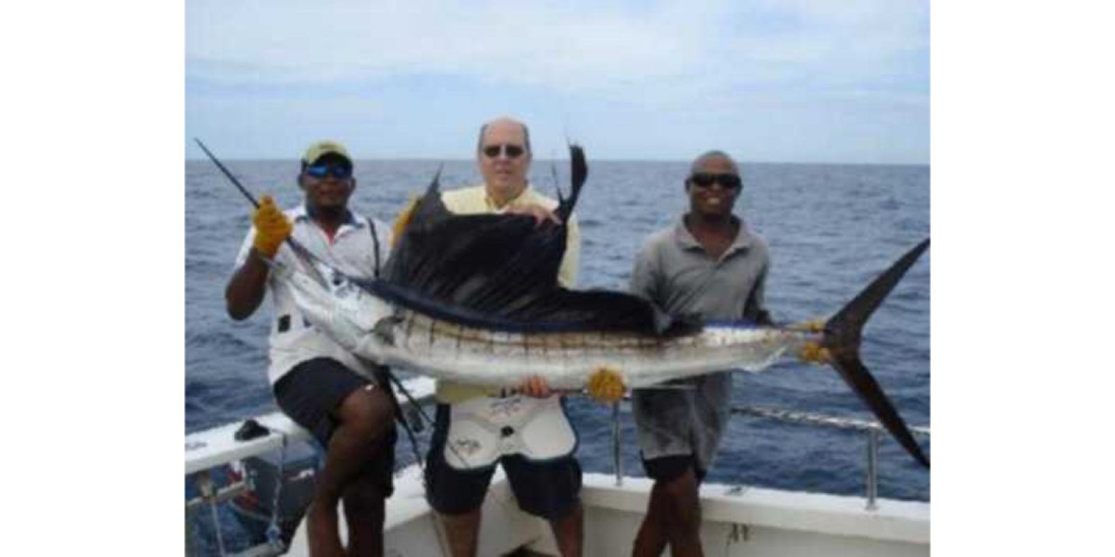 Picture of Fish Caught from a Supercat Boat