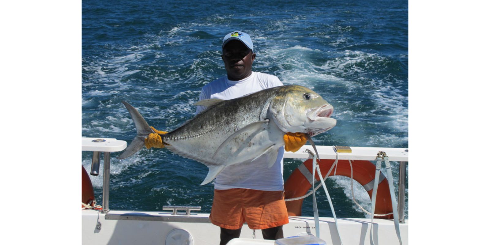 Picture of Fish Caught from a Supercat Boat