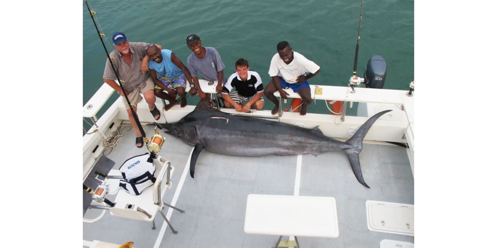 Picture of Fish Caught from a Supercat Boat