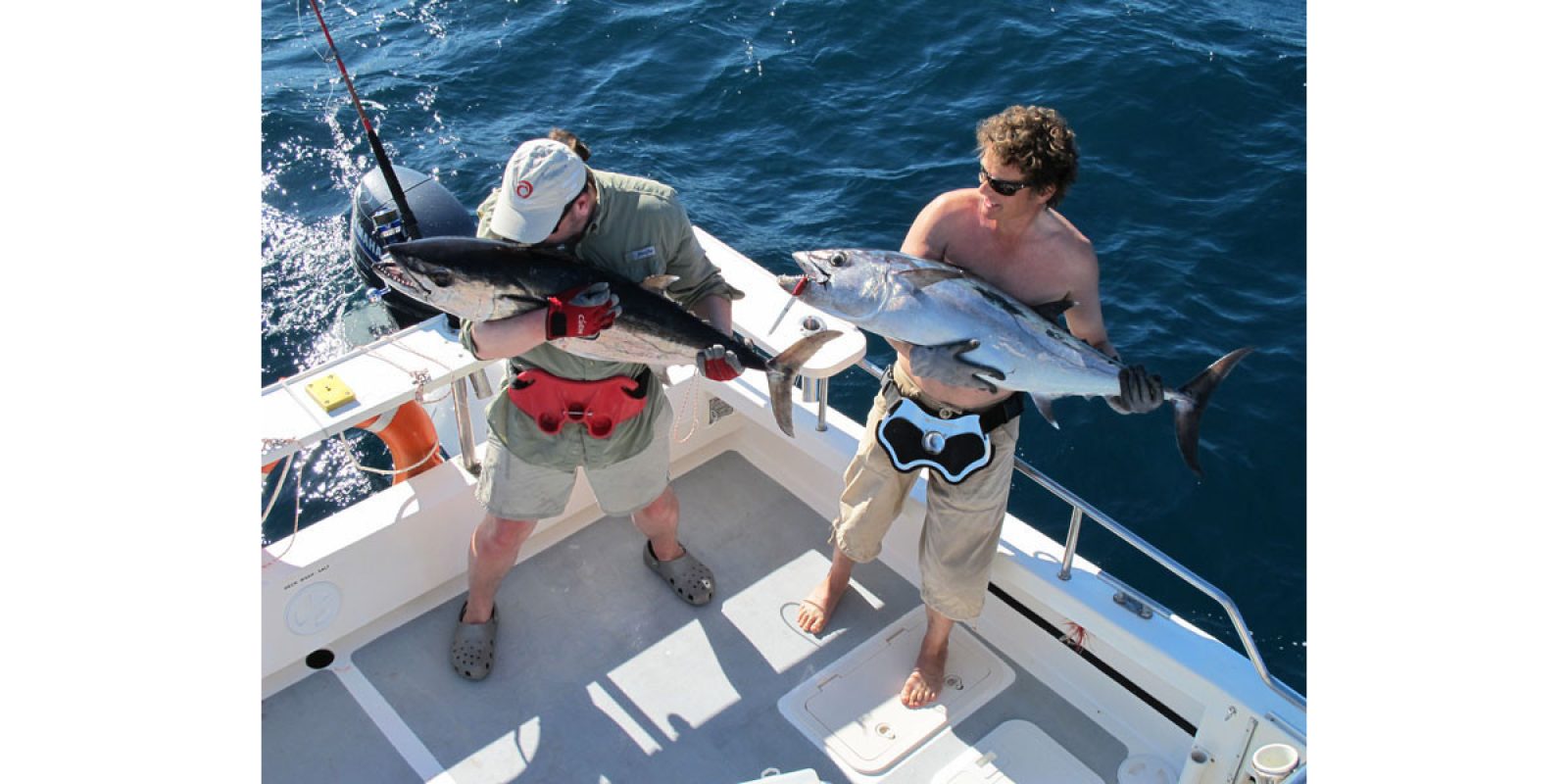 Picture of Fish Caught from a Supercat Boat
