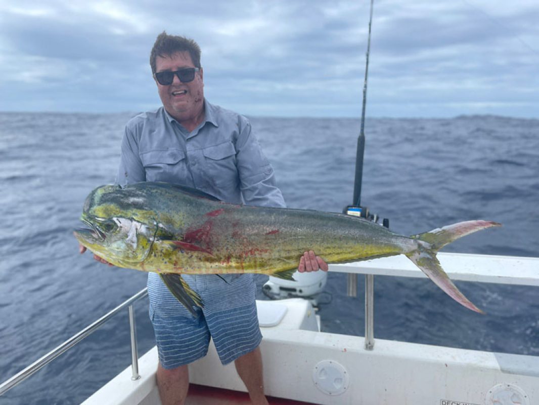 Picture of Fish Caught from a Supercat Boat