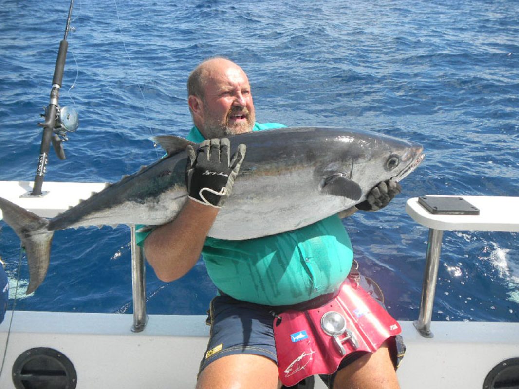 Picture of Fish Caught from a Supercat Boat