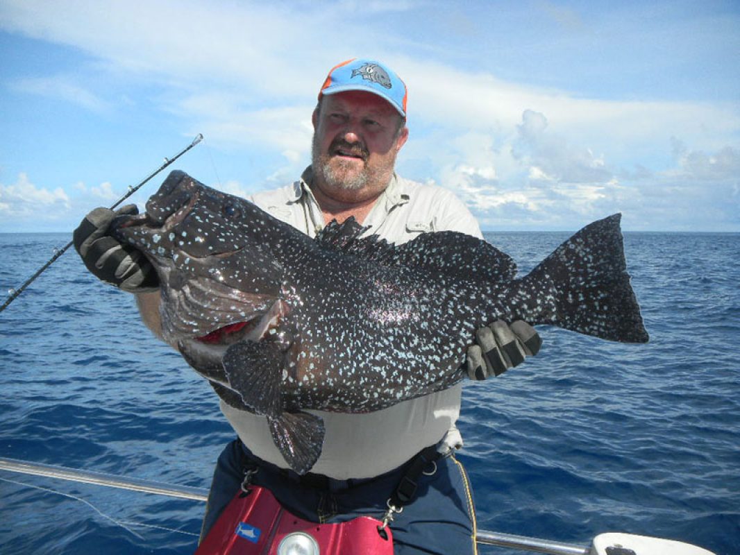 Picture of Fish Caught from a Supercat Boat
