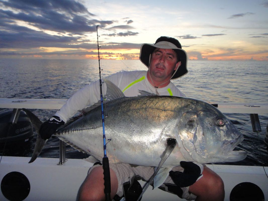 Picture of Fish Caught from a Supercat Boat