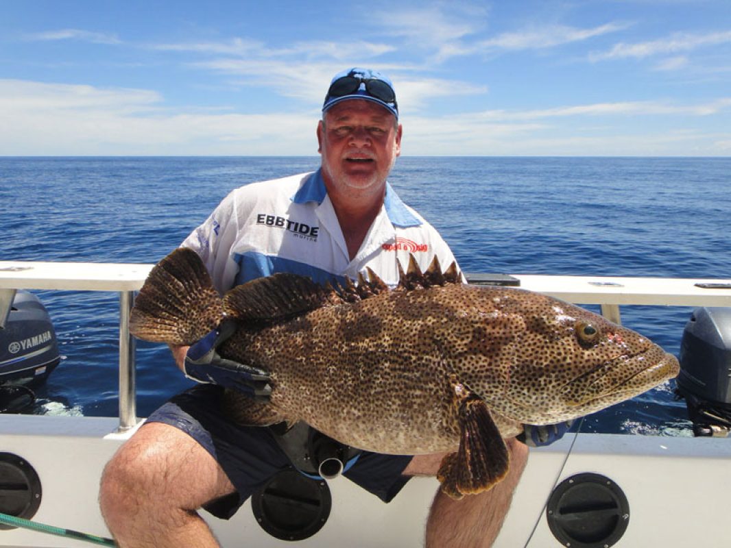 Picture of Fish Caught from a Supercat Boat