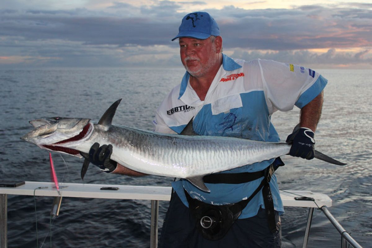 Picture of Fish Caught from a Supercat Boat